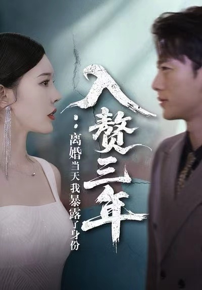 入赘三年:离婚当天我暴露了身份
